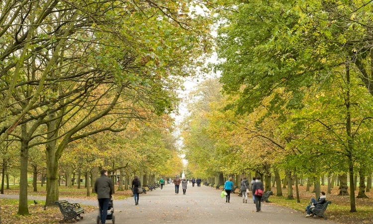 Broad Walk